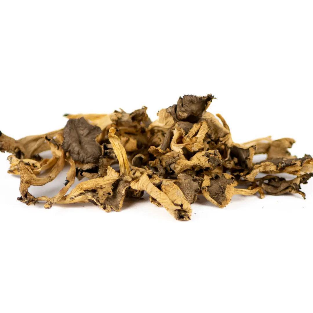 Chanterelles jaunes séchées 100g - Chef Morel