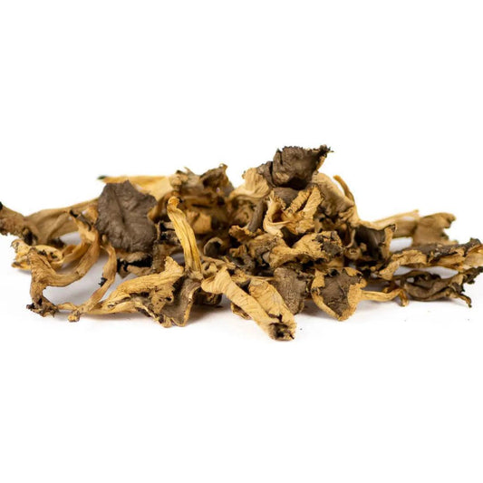 Chanterelles jaunes séchées 100g - Chef Morel