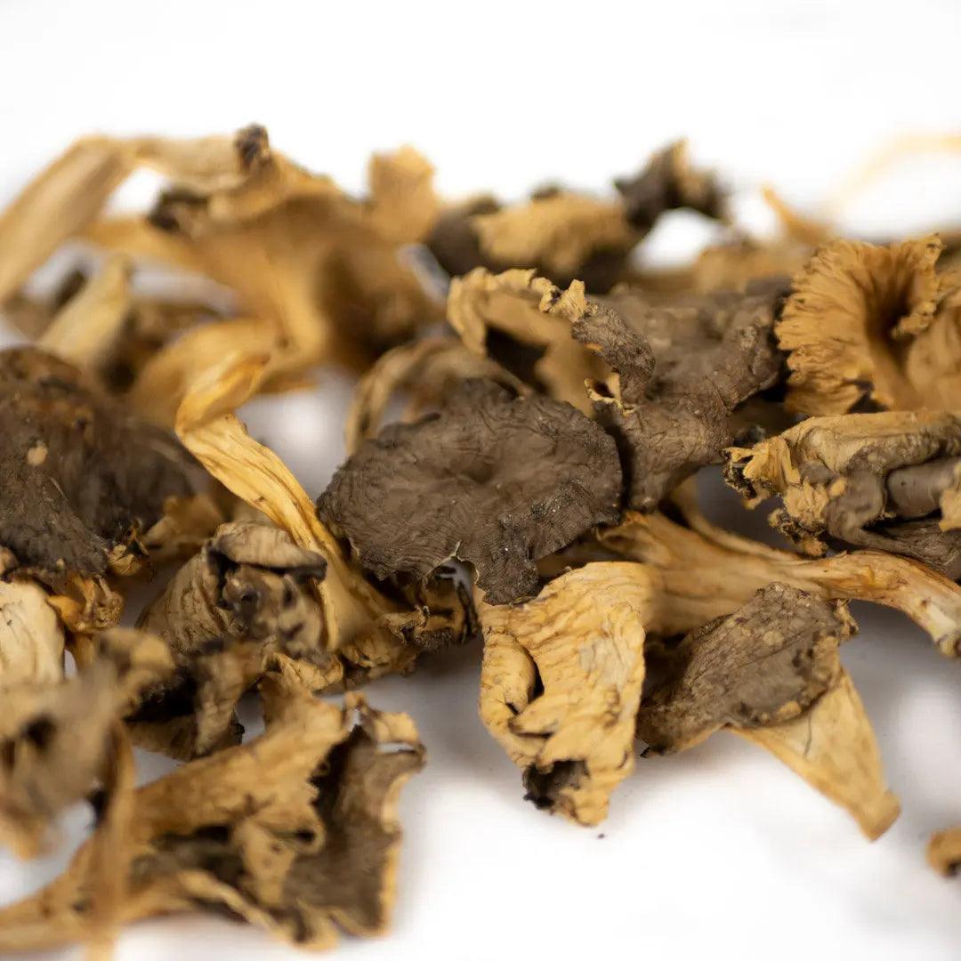 Chanterelles jaunes séchées 100g - Chef Morel