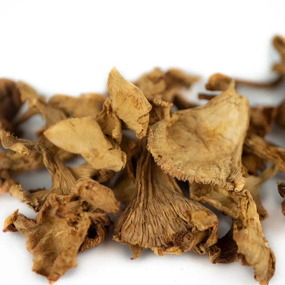 Girolles séchées qualité supérieure 50g - Chef Morel
