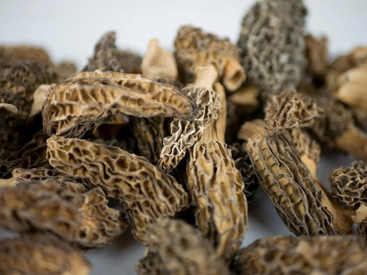 Morilles séchées fumées de l'Himalaya 100g - Chef Morel