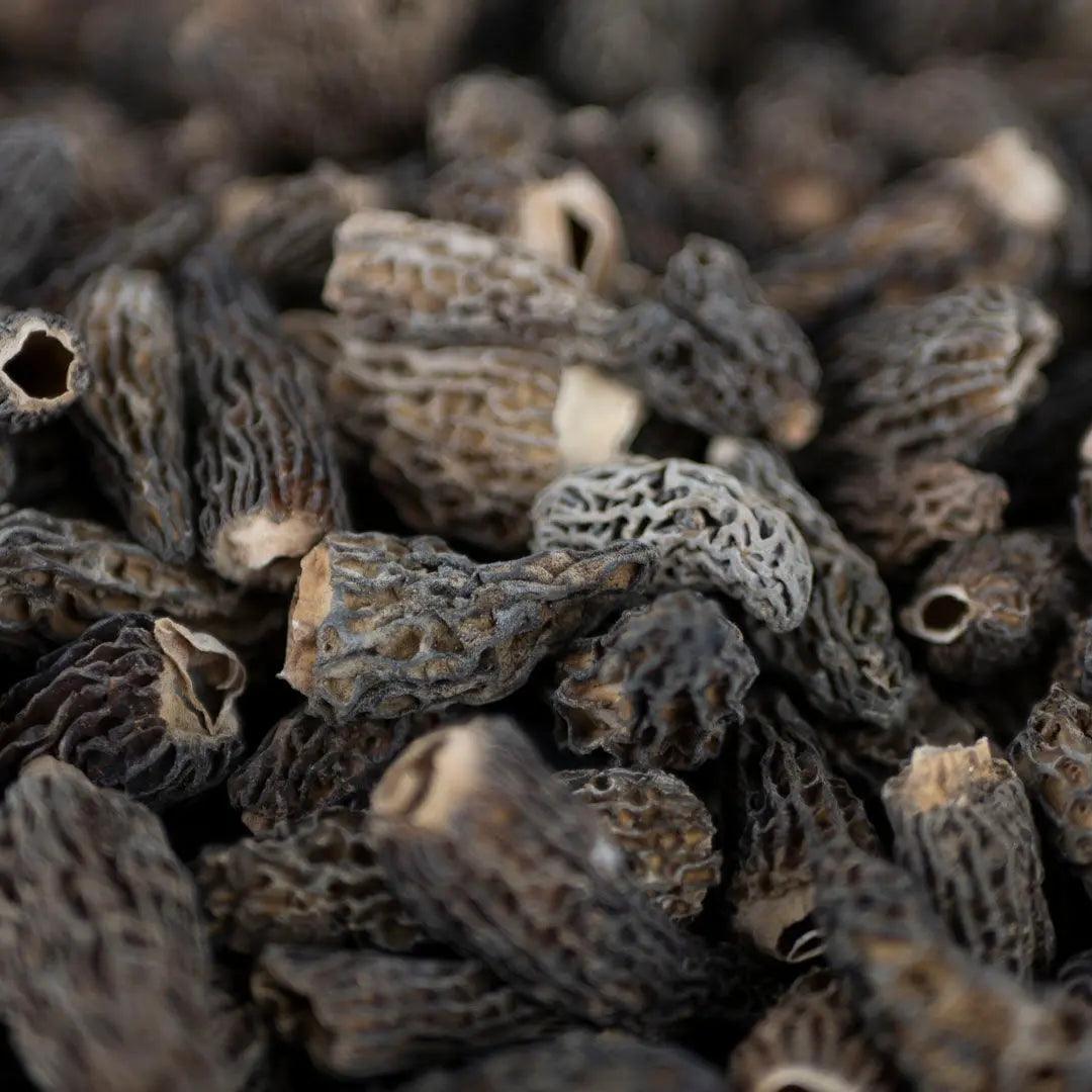 Morilles séchées d'altitude Patagonie 100g - Chef Morel