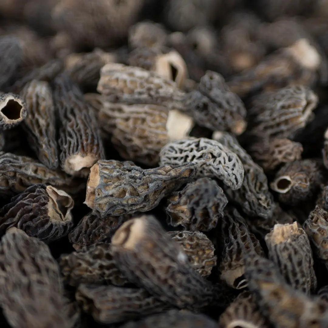 Morilles séchées d'altitude Patagonie 25g - Chef Morel