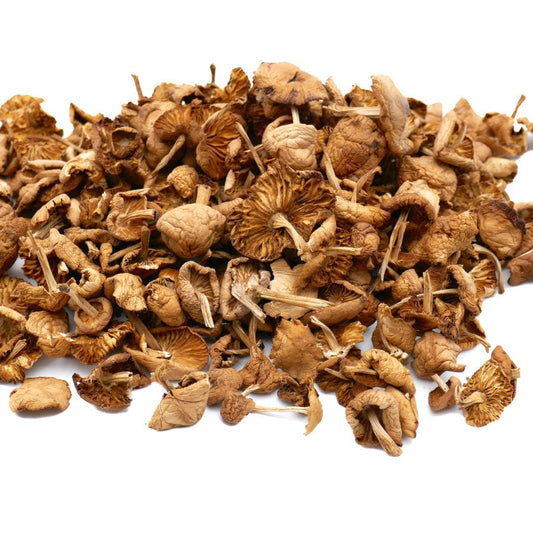 Mousserons d'Automne séchés 50g - Chef Morel