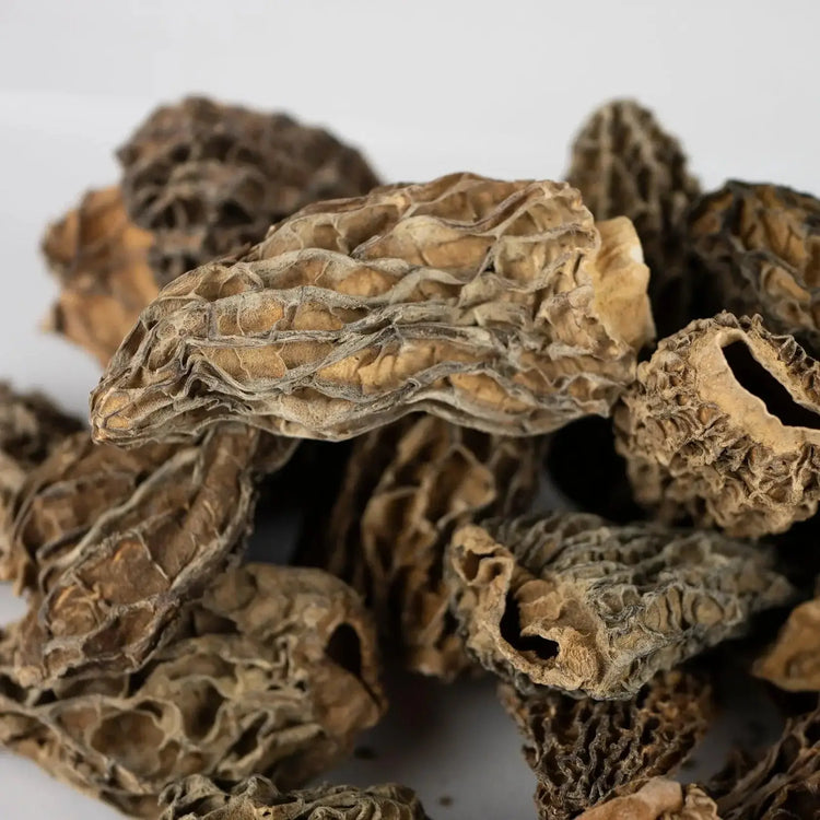 Morilles séchées à farcir jumbo - Chef Morel