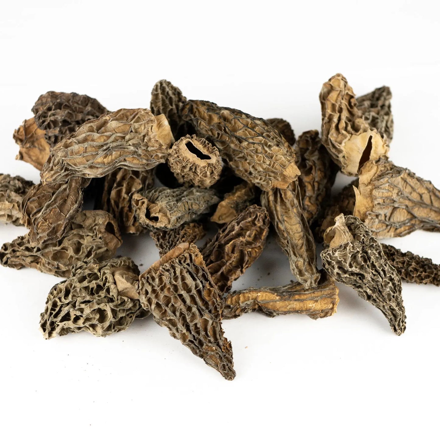 Morilles origine France séchées Jumbo à farcir - 100 gr. Chef Morel