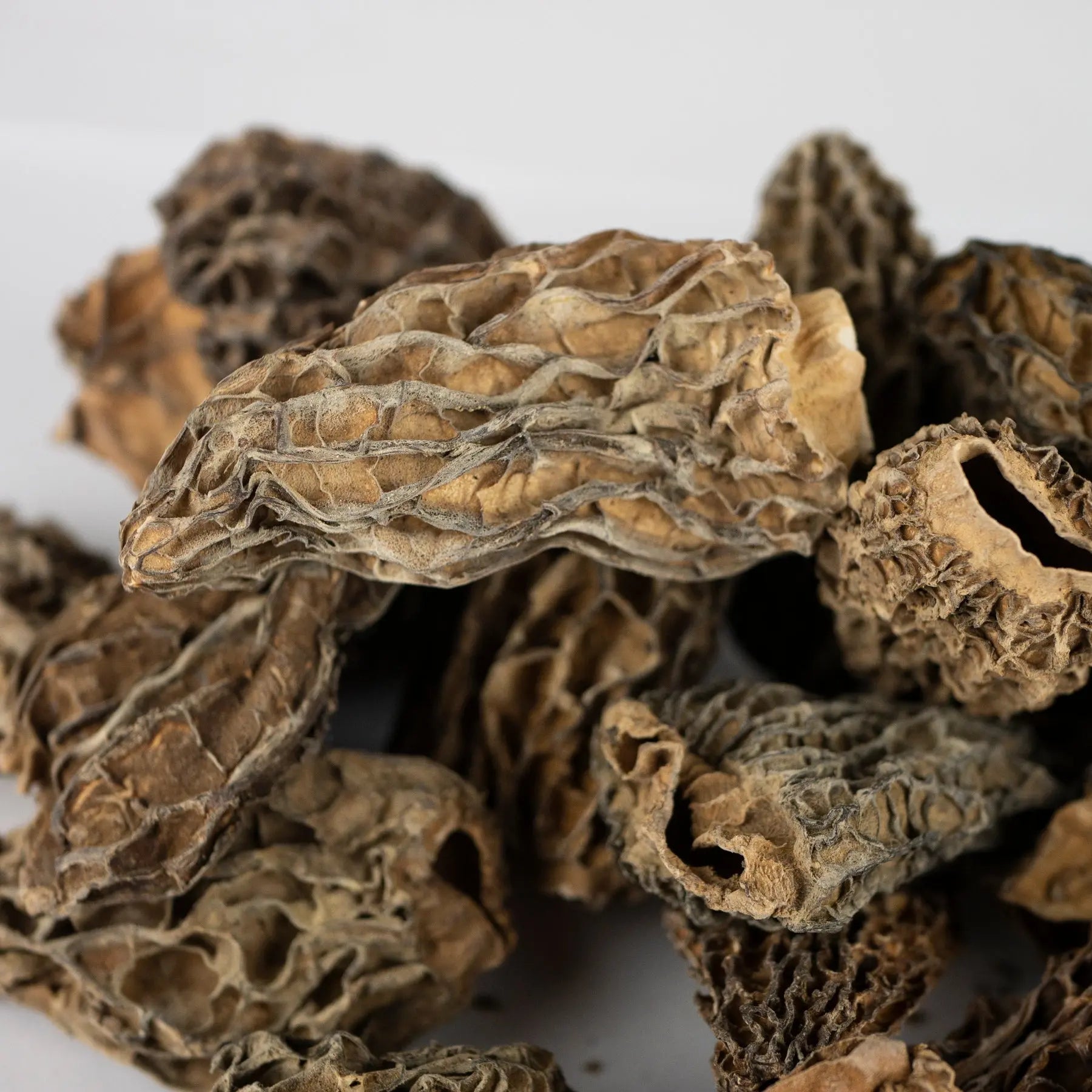 Morilles origine France séchées Jumbo à farcir - 100 gr. Chef Morel