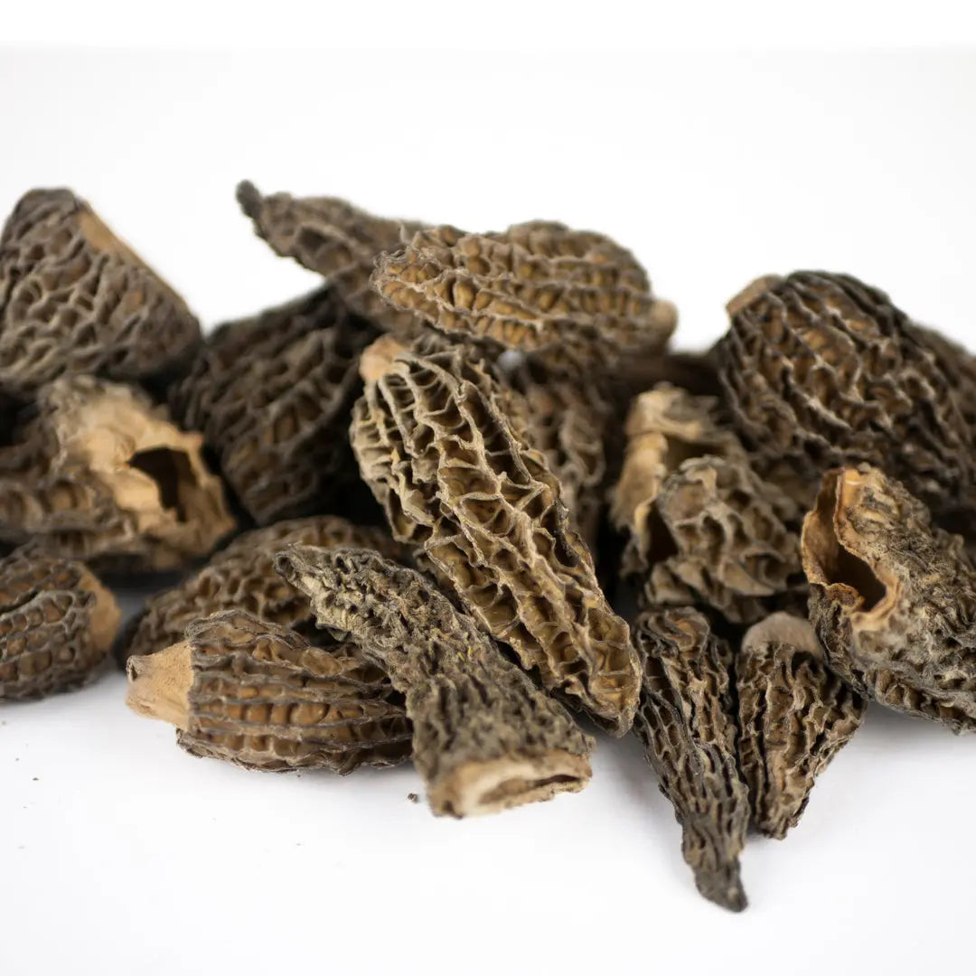 Morilles séchées sauvages - Canada 100 gr. Qualité supérieure. Chef Morel