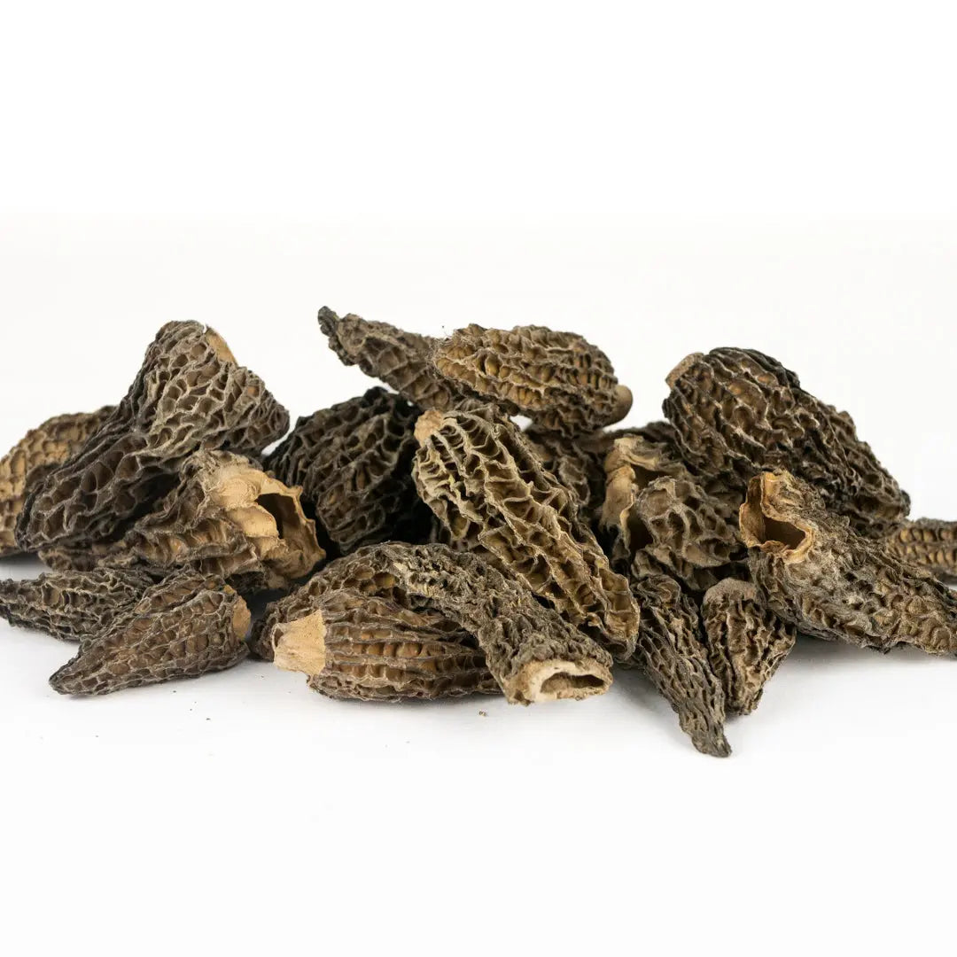 Morilles séchées sauvages - Canada 100 gr. Qualité supérieure. Chef Morel