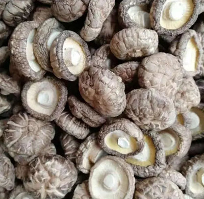 Shiitakes séchés qualité supérieure 50 gr Chef Morel